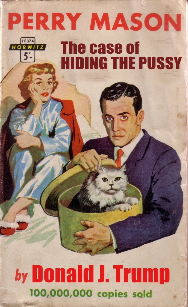 Donald Trump in the case of Hiding The Pussy - Featured image